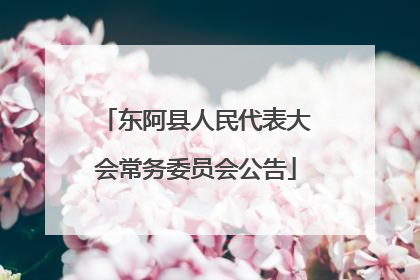 东阿县人民代表大会常务委员会公告