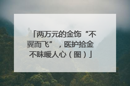 两万元的金饰“不翼而飞”，医护拾金不昧暖人心（图）