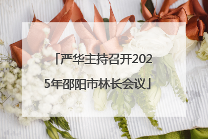严华主持召开2025年邵阳市林长会议