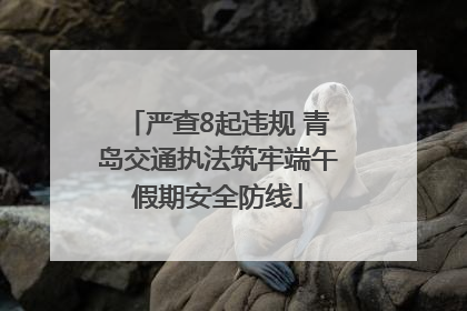 严查8起违规 青岛交通执法筑牢端午假期安全防线