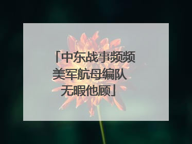 中东战事频频 美军航母编队无暇他顾