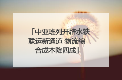中亚班列开辟水铁联运新通道 物流综合成本降四成