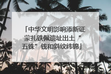 中华文明影响添新证 蒙扎铁佩遗址出土“五铢”钱和斜纹纬锦