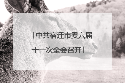 中共宿迁市委六届十一次全会召开
