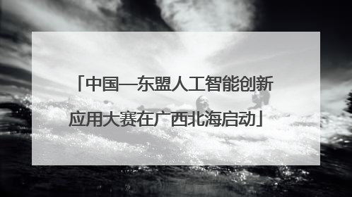 中国—东盟人工智能创新应用大赛在广西北海启动