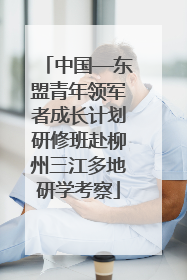 中国—东盟青年领军者成长计划研修班赴柳州三江多地研学考察