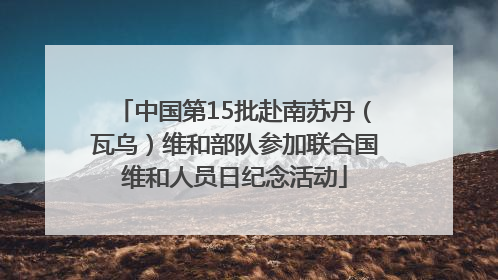 中国第15批赴南苏丹（瓦乌）维和部队参加联合国维和人员日纪念活动