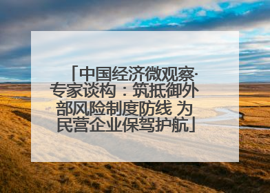 中国经济微观察·专家谈构：筑抵御外部风险制度防线 为民营企业保驾护航