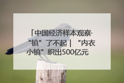 中国经济样本观察·“镇”了不起｜“内衣小镇”织出500亿元“里子产业”