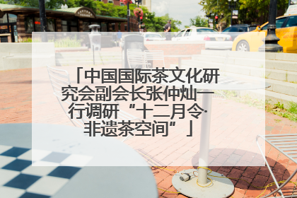 中国国际茶文化研究会副会长张仲灿一行调研“十二月令·非遗茶空间”