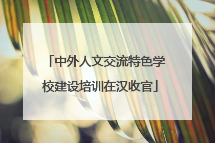中外人文交流特色学校建设培训在汉收官
