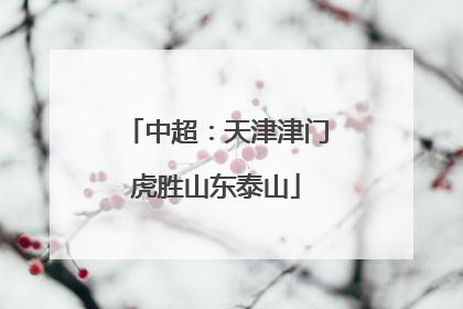 中超：天津津门虎胜山东泰山