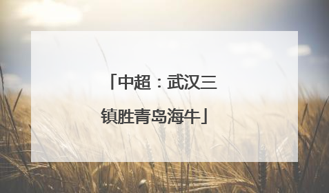 中超：武汉三镇胜青岛海牛