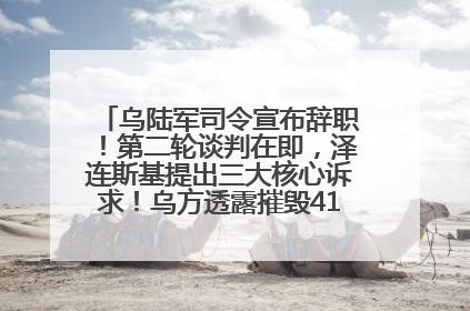 乌陆军司令宣布辞职！第二轮谈判在即，泽连斯基提出三大核心诉求！乌方透露摧毁41架俄战略轰炸机