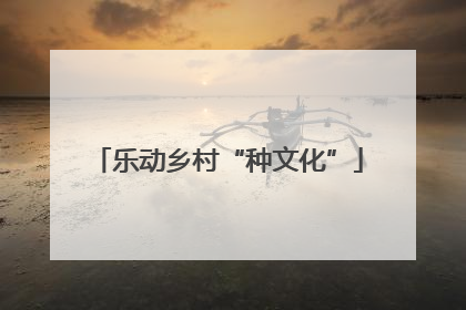 乐动乡村“种文化”