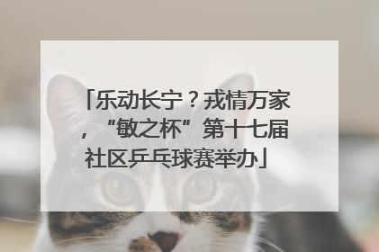 乐动长宁？戎情万家，“敏之杯”第十七届社区乒乓球赛举办
