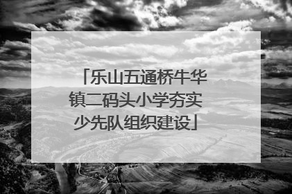 乐山五通桥牛华镇二码头小学夯实少先队组织建设
