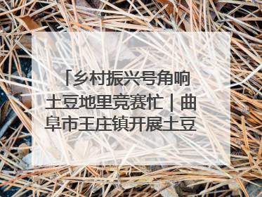 乡村振兴号角响 土豆地里竞赛忙｜曲阜市王庄镇开展土豆收获劳动竞赛