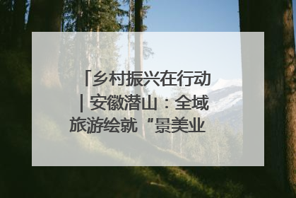 乡村振兴在行动｜安徽潜山：全域旅游绘就“景美业兴民富”新画卷