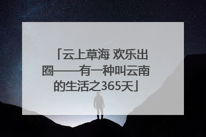 云上草海 欢乐出圈——有一种叫云南的生活之365天