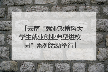 云南“就业政策暨大学生就业创业典型进校园”系列活动举行