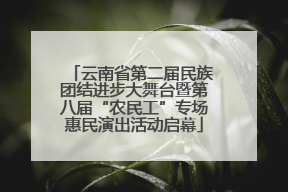 云南省第二届民族团结进步大舞台暨第八届“农民工”专场惠民演出活动启幕