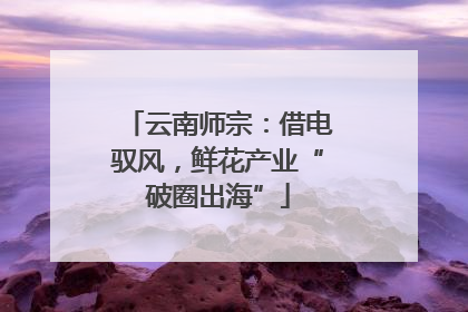 云南师宗：借电驭风，鲜花产业“破圈出海”
