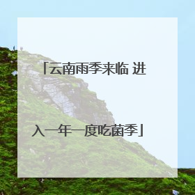 云南雨季来临 进入一年一度吃菌季