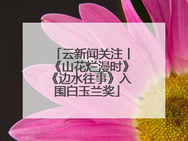 云新闻关注丨《山花烂漫时》《边水往事》入围白玉兰奖