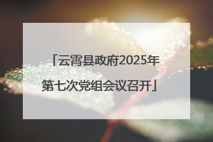 云霄县政府2025年第七次党组会议召开