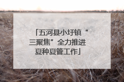 五河县小圩镇“三聚焦”全力推进夏种夏管工作