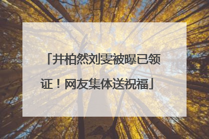 井柏然刘雯被曝已领证！网友集体送祝福