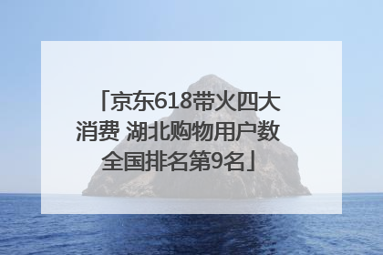 京东618带火四大消费 湖北购物用户数全国排名第9名