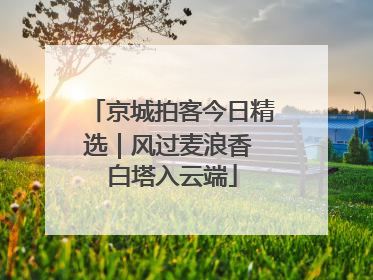 京城拍客今日精选｜风过麦浪香 白塔入云端