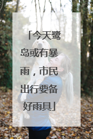 今天鹭岛或有暴雨，市民出行要备好雨具