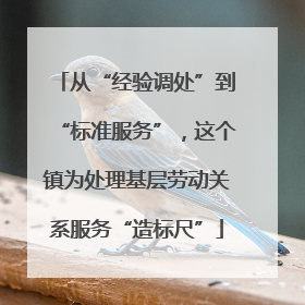 从“经验调处”到“标准服务”，这个镇为处理基层劳动关系服务“造标尺”