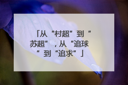 从“村超”到“苏超”，从“追球”到“追求”