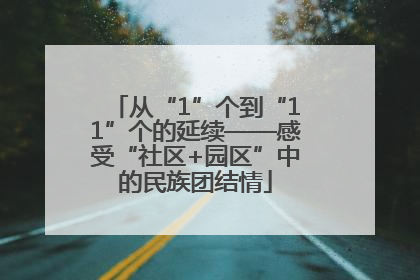 从“1”个到“11”个的延续——感受“社区+园区”中的民族团结情