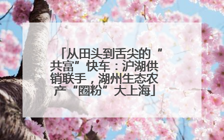 从田头到舌尖的“共富”快车：沪湖供销联手，湖州生态农产“圈粉”大上海