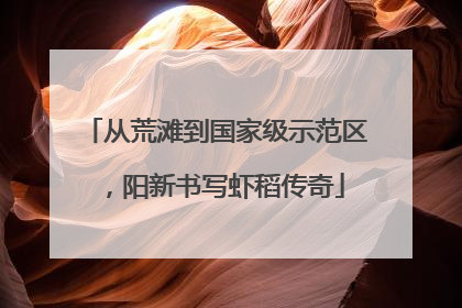 从荒滩到国家级示范区，阳新书写虾稻传奇