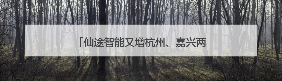 仙途智能又增杭州、嘉兴两地上路牌照，路权加速度