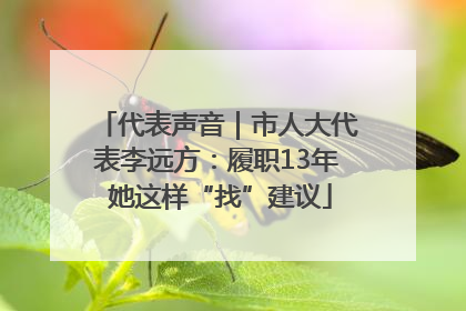 代表声音｜市人大代表李远方：履职13年 她这样“找”建议