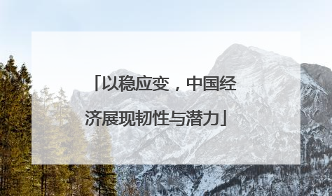 以稳应变，中国经济展现韧性与潜力