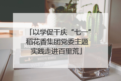 以学促干庆“七一” 稻花香集团党委主题实践走进百里荒