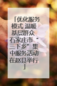 优化服务模式 温暖基层群众 石家庄市“三下乡”集中服务活动在赵县举行