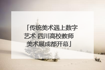 传统美术遇上数字艺术 四川高校教师美术展成都开幕