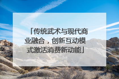 传统武术与现代商业融合，创新互动模式激活消费新动能