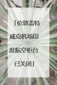 伦敦盖特威克机场印度航空柜台已关闭