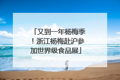 又到一年杨梅季！浙江杨梅赴沪参加世界级食品展