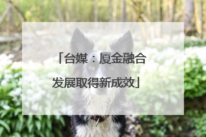台媒：厦金融合发展取得新成效